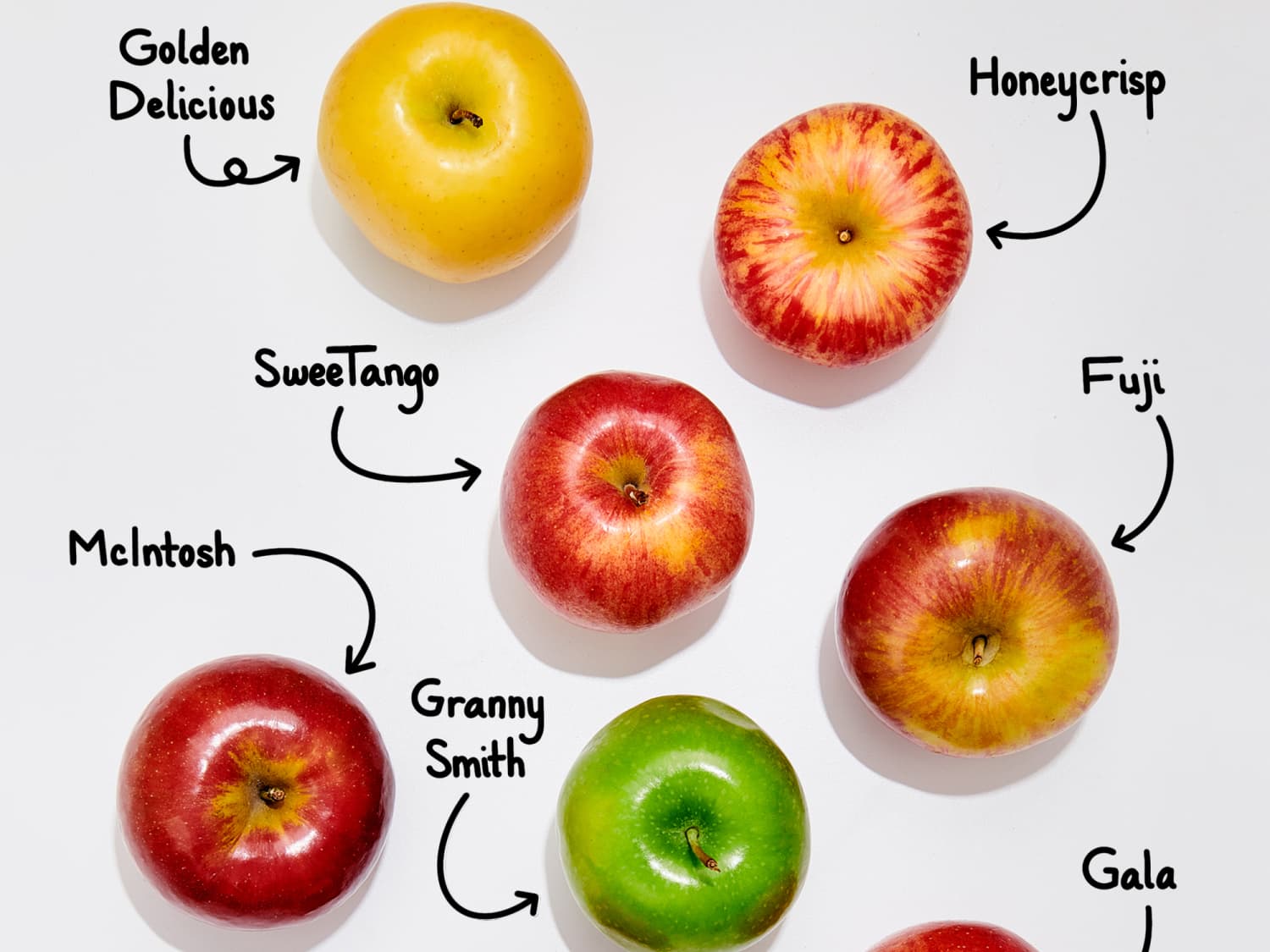 Types of hot sale apples